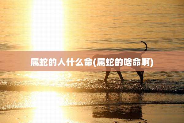 属蛇的人什么命(属蛇的啥命啊)