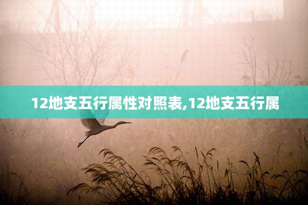 12地支五行属性对照表,12地支五行属