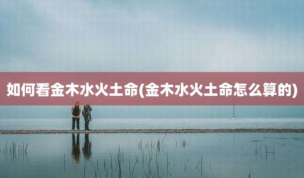 如何看金木水火土命(金木水火土命怎么算的)