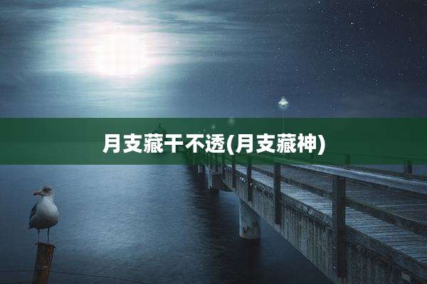 月支藏干不透(月支藏神)