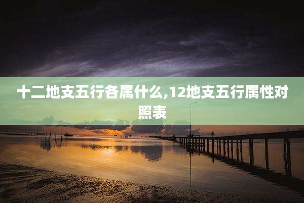 十二地支五行各属什么,12地支五行属性对照表