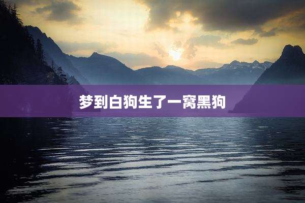 梦到白狗生了一窝黑狗