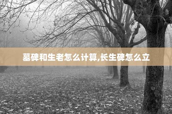 墓碑和生老怎么计算,长生碑怎么立