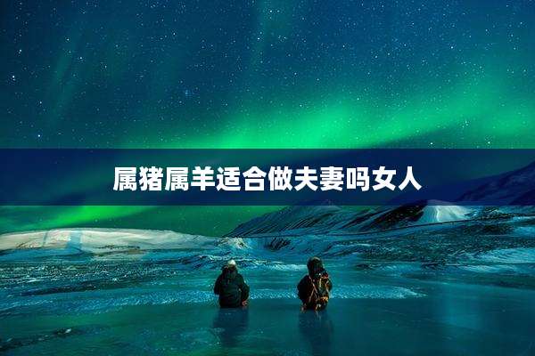 属猪属羊适合做夫妻吗女人