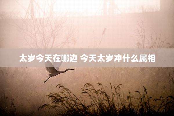太岁今天在哪边 今天太岁冲什么属相