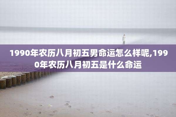 1990年农历八月初五男命运怎么样呢,1990年农历八月初五是什么命运