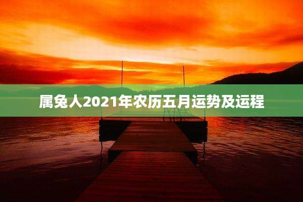 属兔人2021年农历五月运势及运程