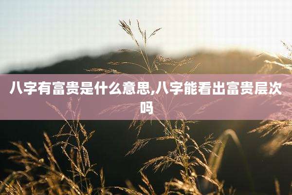 八字有富贵是什么意思,八字能看出富贵层次吗
