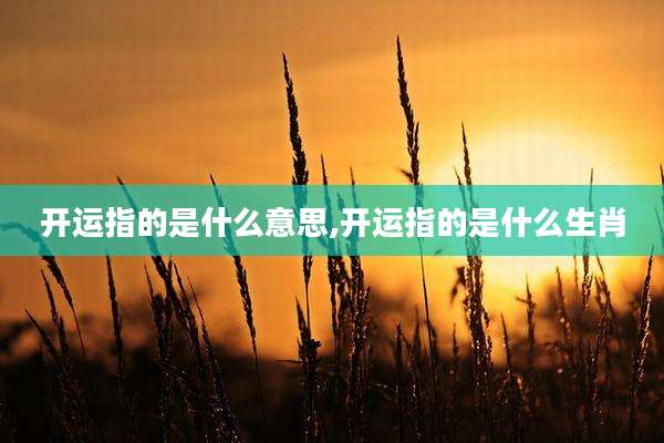 开运指的是什么意思,开运指的是什么生肖