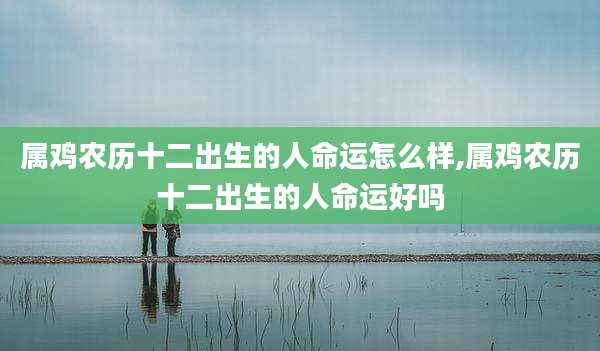 属鸡农历十二出生的人命运怎么样,属鸡农历十二出生的人命运好吗