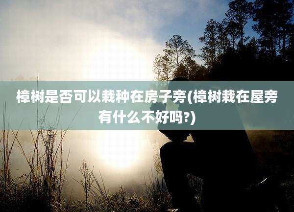 樟树是否可以栽种在房子旁(樟树栽在屋旁有什么不好吗?)