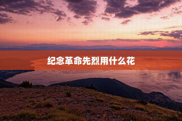 纪念革命先烈用什么花