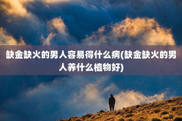 缺金缺火的男人容易得什么病(缺金缺火的男人养什么植物好)