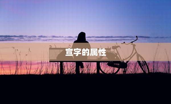 宣字的属性
