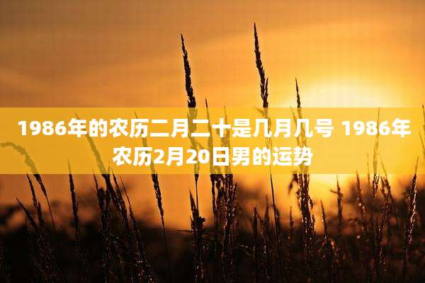 1986年的农历二月二十是几月几号 1986年农历2月20日男的运势