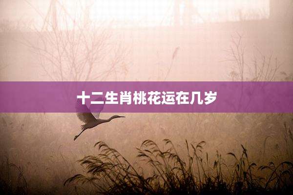 十二生肖桃花运在几岁