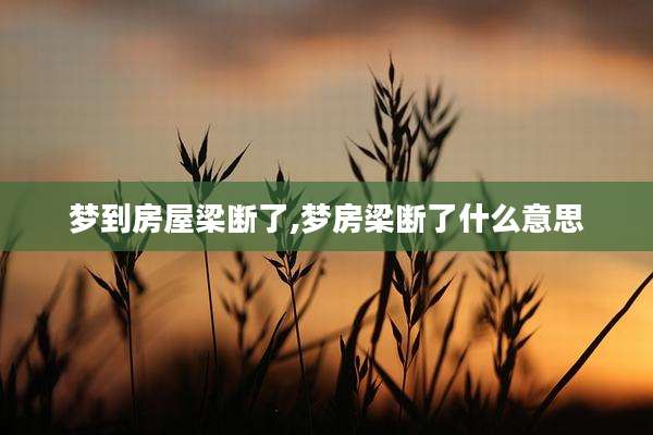梦到房屋梁断了,梦房梁断了什么意思