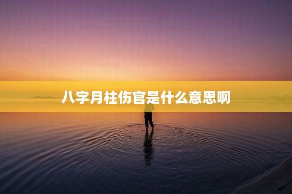 八字月柱伤官是什么意思啊