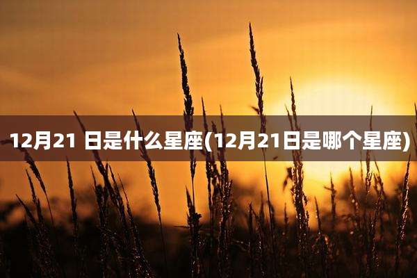 12月21 日是什么星座(12月21日是哪个星座)