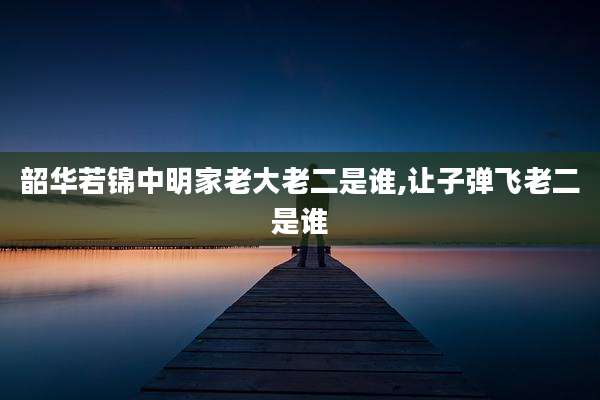 韶华若锦中明家老大老二是谁,让子弹飞老二是谁