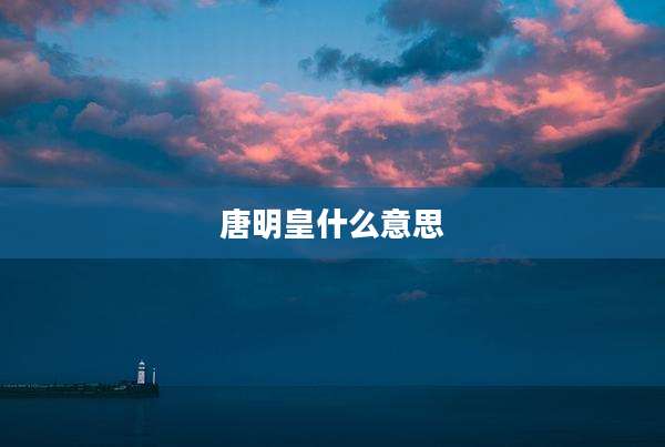 唐明皇什么意思