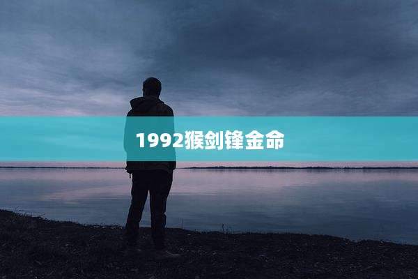 1992猴剑锋金命