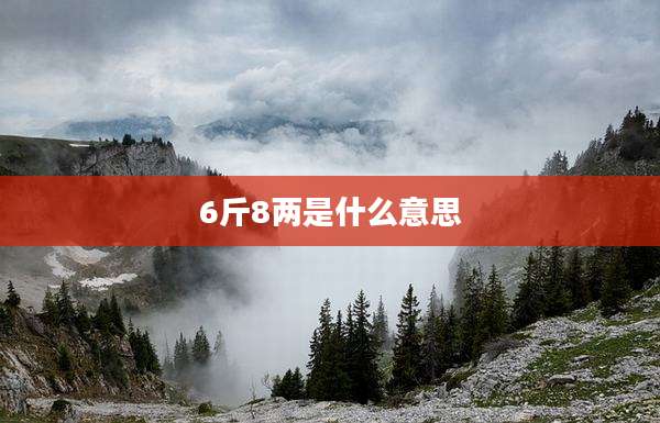 6斤8两是什么意思