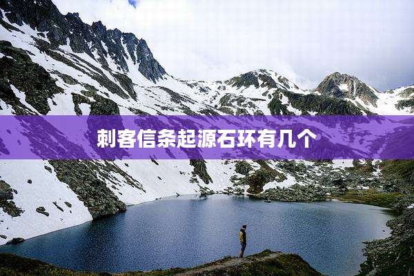 刺客信条起源石环有几个