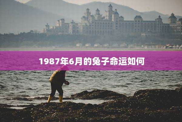 1987年6月的兔子命运如何