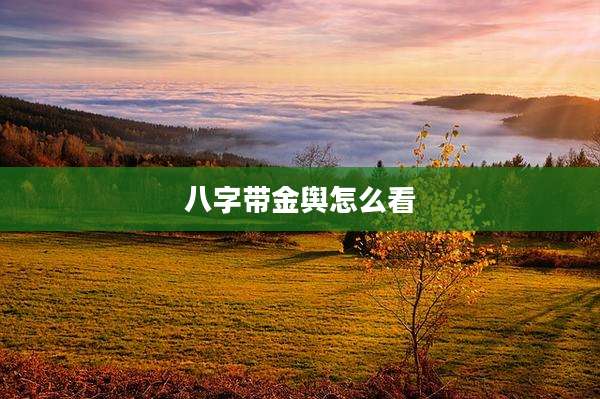 八字带金舆怎么看