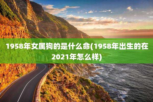 1958年女属狗的是什么命(1958年出生的在2021年怎么样)