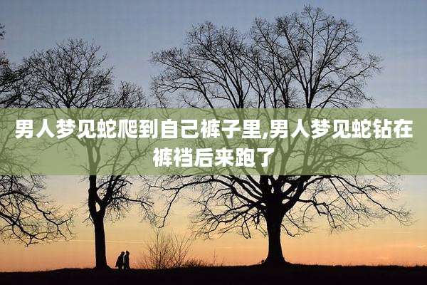 男人梦见蛇爬到自己裤子里,男人梦见蛇钻在裤裆后来跑了