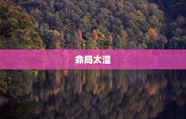 命局太湿