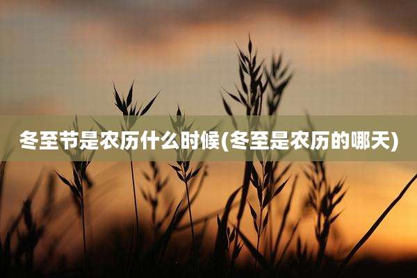 冬至节是农历什么时候(冬至是农历的哪天)