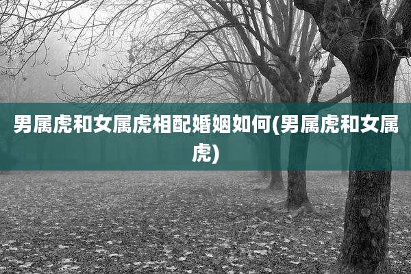 男属虎和女属虎相配婚姻如何(男属虎和女属虎)