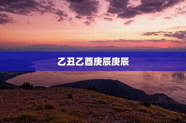 乙丑乙酉庚辰庚辰