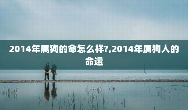 2014年属狗的命怎么样?,2014年属狗人的命运
