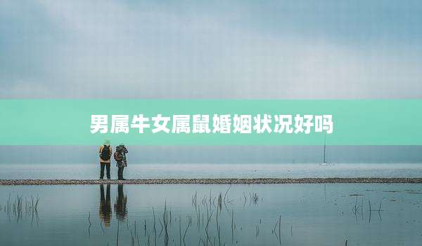 男属牛女属鼠婚姻状况好吗
