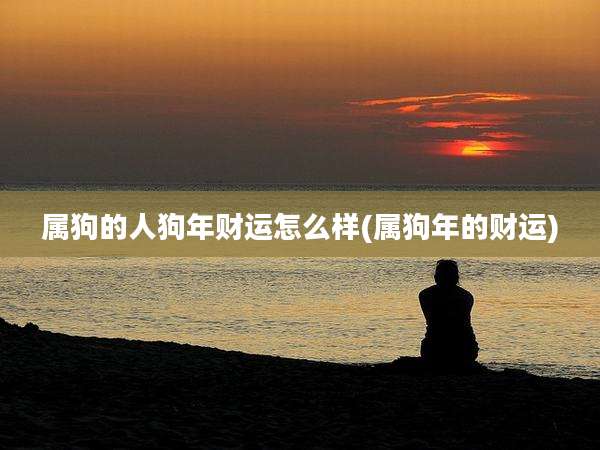 属狗的人狗年财运怎么样(属狗年的财运)