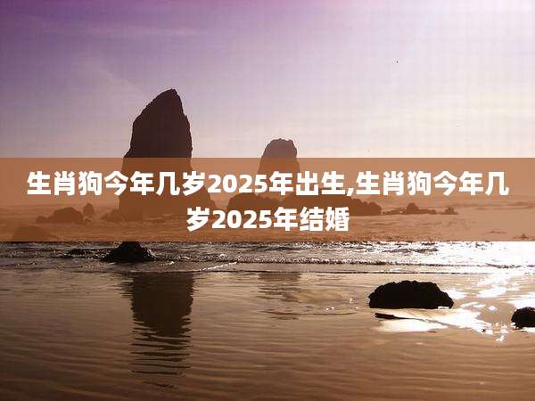 生肖狗今年几岁2025年出生,生肖狗今年几岁2025年结婚