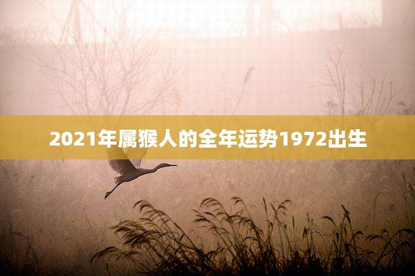2021年属猴人的全年运势1972出生