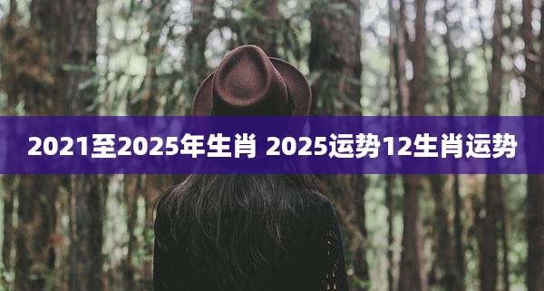 2021至2025年生肖 2025运势12生肖运势