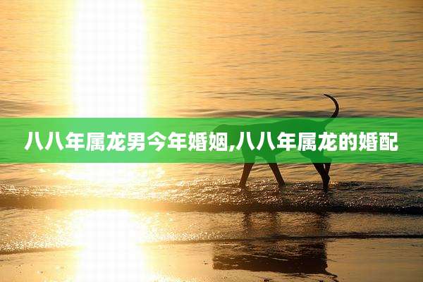 八八年属龙男今年婚姻,八八年属龙的婚配