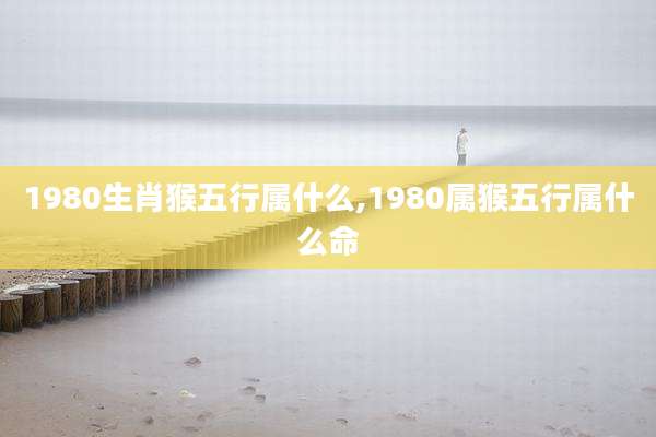 1980生肖猴五行属什么,1980属猴五行属什么命