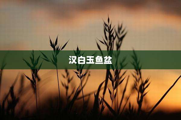 汉白玉鱼盆