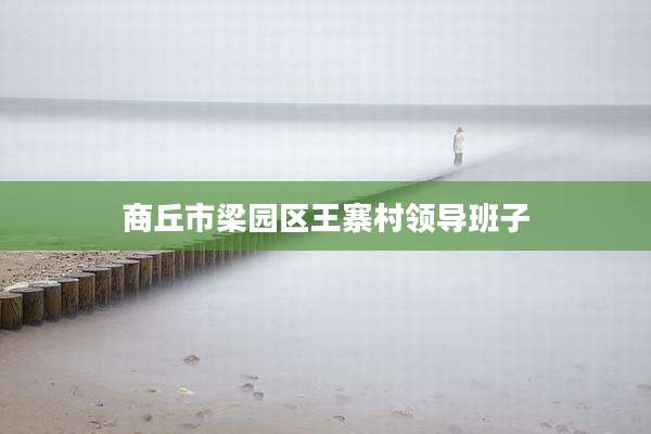 商丘市梁园区王寨村领导班子