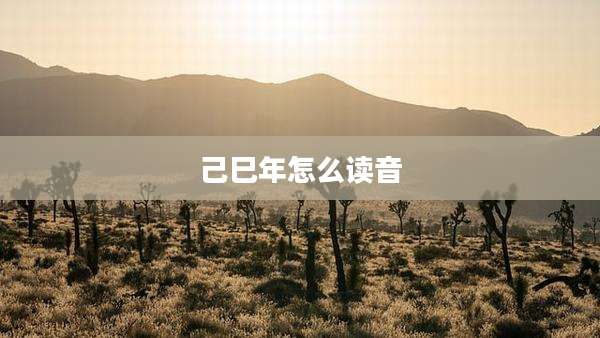 己巳年怎么读音