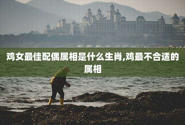 鸡女最佳配偶属相是什么生肖,鸡最不合适的属相