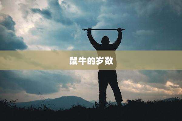 鼠牛的岁数