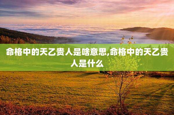 命格中的天乙贵人是啥意思,命格中的天乙贵人是什么